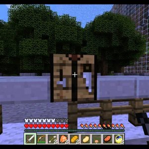 Surviving the Games 10: Poor ice cream man