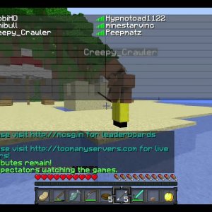 Minecraft Hunger Games Match Nr.10 - Dont...Kill...Creepy!!