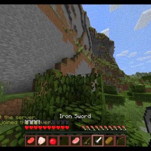 Minecraft Survival games! | I thought it was gonna be easy...