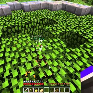 Minecraft Survival Games - Hiro's 69th win