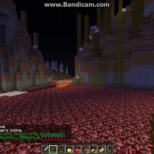 Hunger Games #5 Part 2-with Stodgypoem and DoubleD9001-Ha i win
