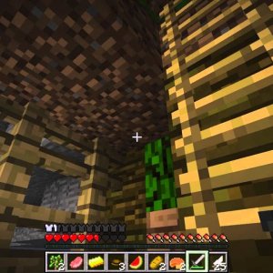 MCSG Game 2 Breeze Island - Team take down