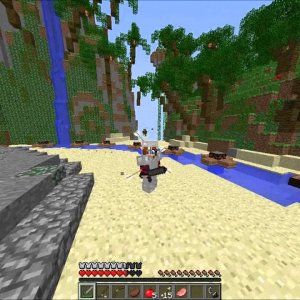 Minecraft Survival Games - Game 2 : PANIC TEAMERS!
