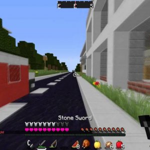 Hunger Games | Game 37 | Thoughts on the MCSG Community