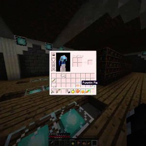 Minecrat Survival Games #2 AMAZNIG GAME